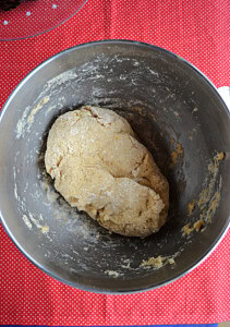 Stollen bread dough before rising.