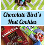 Pin Image: 3 chocolate bird's nest cookies with chocolate eggs on top, text of title, a box of chocolate candy melts, a bag of M&M chocolate eggs, and a bag of chow mein noodles.