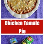 Pin Image: A pie pan filled with chicken, sauce, and cheese, text title, ingredients for the pie.