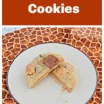 Pin Image: Text title, a plate with a S'mores cookie on it cut in half.