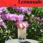 Pin Image: Text title, A glass of lemonade with berries in it and flowers behind it.