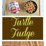 Looking for a great fudge recipe? Try this tasty Turtle Fudge with chocolate, pecans, and a caramel layer!