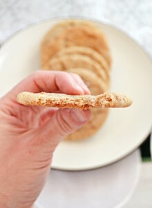 A hand holding a snickerdoodle cookie with a bite taken out of it.