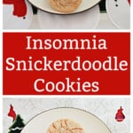 Pin Image: A plate of snickerdoodle cookies layered on top of each other, text title, a plate of cookies piled on top of each other.