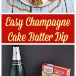 Pin Image: A platter of fruits, graham crackers, and marshmallows with champagne cake dip in the middle, text title, A bottle of champagn, a box of cake mix, and a bowl of dip.