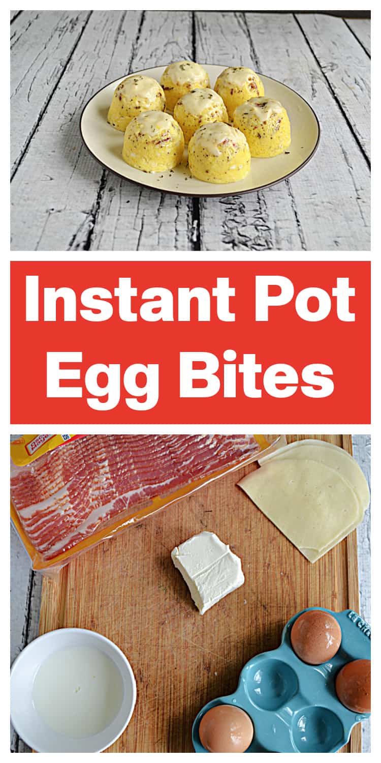 Instant Pot Egg Bite Mold Recipes (More Than Eggs!)  Instant pot  cheesecake recipe, Easy instant pot recipes, Instant pot dinner recipes