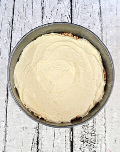 A vanilla bean cheesecake in a pan.