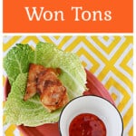Pin Image: Text title, three fried won tons with a bowl of sauce next to it.