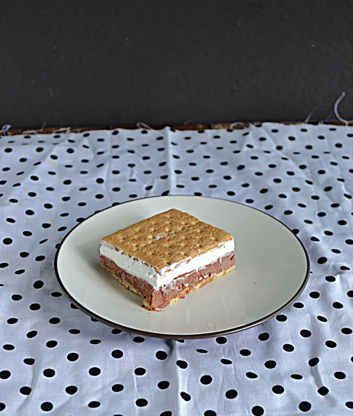A plate with a Frozen S'mores on it.
