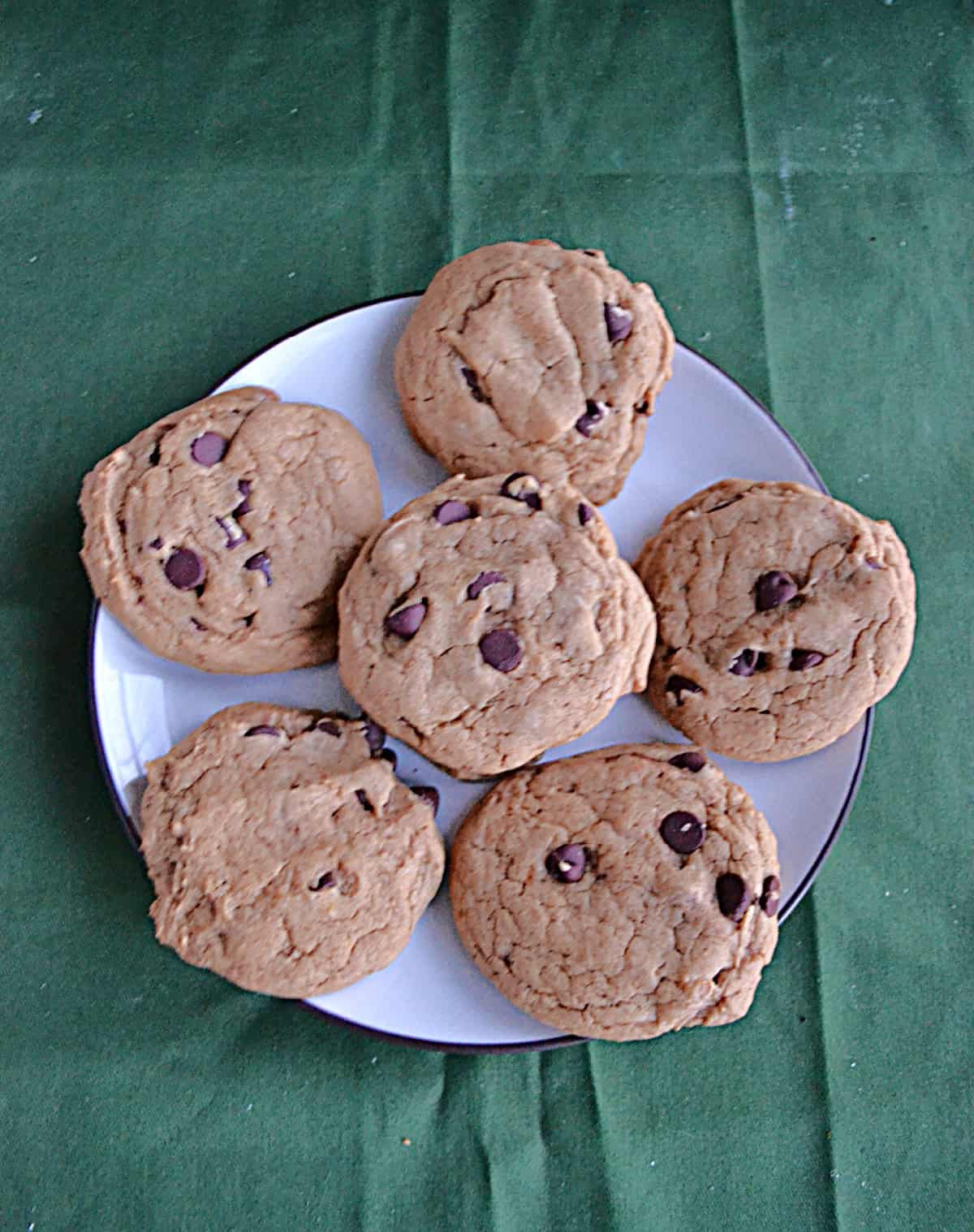 A plate of chocolate chip cookies. 